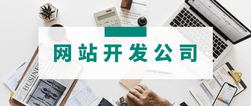 3家專業(yè)網站開發(fā)公司簡介 哪家的網站建設服務更適合你的運營管理需求？