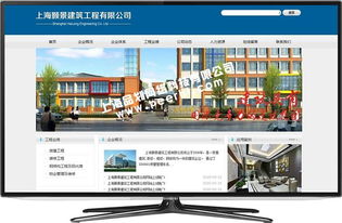 奉賢企業(yè)網絡發(fā)展指南 專業(yè)網站制作與網絡開發(fā)建設